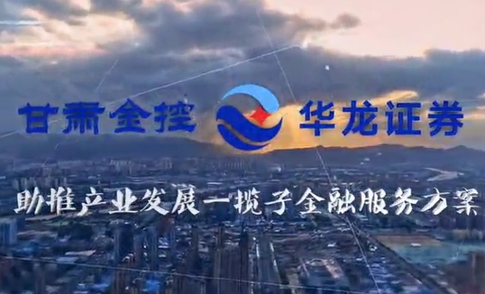 国内买球_买球（中国）
助推产业发展一揽子金融服务方案汇报片